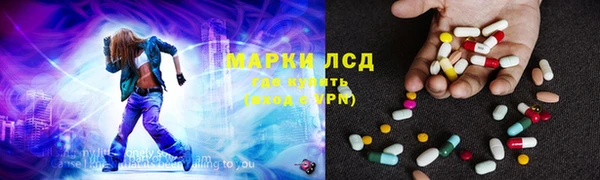ПСИЛОЦИБИНОВЫЕ ГРИБЫ Богданович