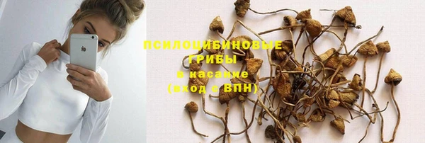 ПСИЛОЦИБИНОВЫЕ ГРИБЫ Богородицк