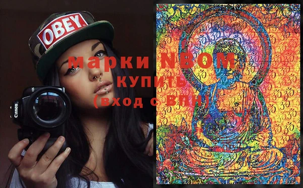 ПСИЛОЦИБИНОВЫЕ ГРИБЫ Богданович