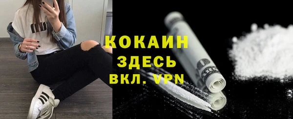 ПСИЛОЦИБИНОВЫЕ ГРИБЫ Богданович