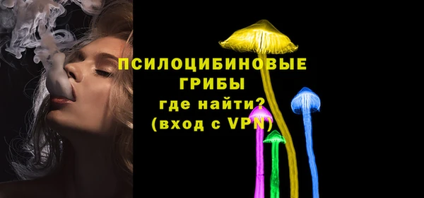 ПСИЛОЦИБИНОВЫЕ ГРИБЫ Богданович