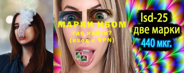 ПСИЛОЦИБИНОВЫЕ ГРИБЫ Богданович