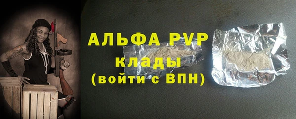 ПСИЛОЦИБИНОВЫЕ ГРИБЫ Богданович