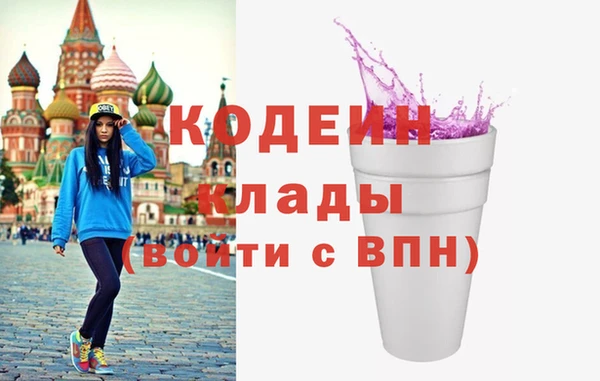 ПСИЛОЦИБИНОВЫЕ ГРИБЫ Богданович