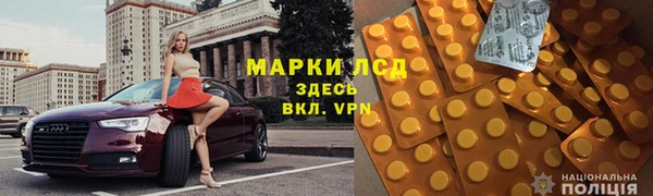 твердый Бородино