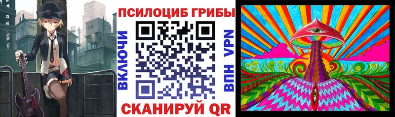 Псилоцибиновые грибы Psilocybe Купить где Малгобек