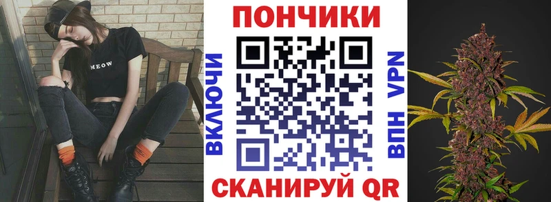 Конопля Bruce Banner  Купить где  Малгобек 